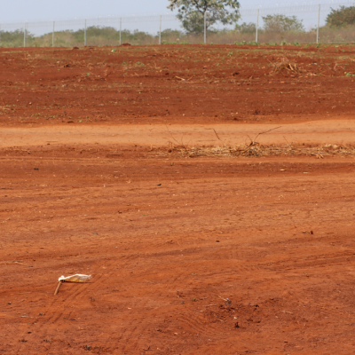 New Cemeteries Site